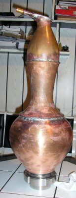 Pingwin (1).JPG