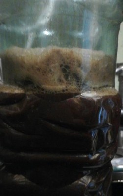 scv_15690778143268223471691372732668-1 (Copy).jpg