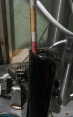 scv_15692518159931549562636886641695-1 (Copy).jpg